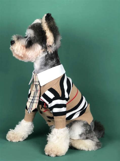 burberry dog sweater